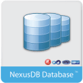 NexusDB v4.5018 Embarcadero Edition for D10.3 Rio Retail