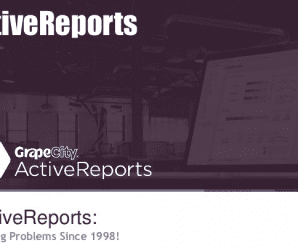 GrapeCity ActiveReports v14.0.19213 + Crack