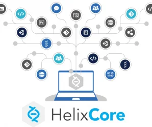 Perforce Helix Core (Server) Win & Linux & MacOSX + License File