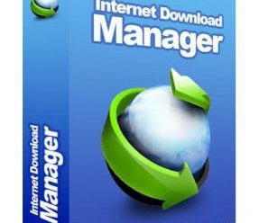 Internet Download Manager (IDM) 6.41 Build 20 Final Multilingual + SUPER CLEAN Crack
