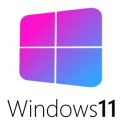 Windows 11 Professional Lite Version Dev Build 21996.1 (x64) Pre-Activated