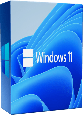 microsoft windows 11 professional
