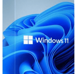 Windows 11 Pro 21H2 Build 22000.795 [Non-TPM] (x64) En-US Pre-Activated July 2022