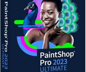 Corel PaintShop Pro 2023 Ultimate v25.0.0.122 (x64) English Portable