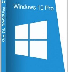 Windows 10 Pro 22H2 Build 19045.2006 (x64) Multilingual Pre-Activated