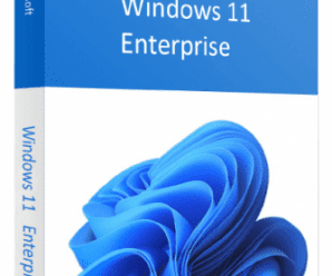 Windows 11 Enterprise 22H2 Build 22621.382 (Non-TPM) (x64) Multilingual Pre-Activated