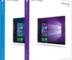 Windows 10 22H2 Build 19045.2006 AIO 13in1 (x64) Multilingual Pre-Activated