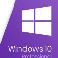 Windows 10 Pro 21H2 Build 19044.2130 (x64) Multilingual Pre-Activated