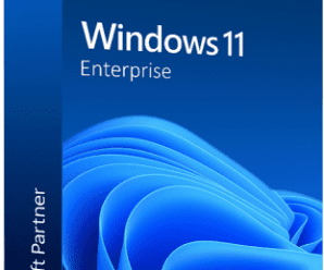 Windows 11 Enterprise 22H2 Build 22621.900 (Non-TPM) (x64) Multilingual Pre-Activated
