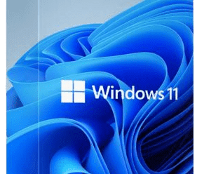 Windows 11 22H2 Build 22621.819 AIO 13in1 (Non-TPM) (x64) Multilingual Pre-Activated