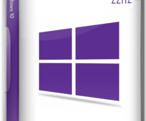 Windows 10 22H2 Build 19045.2251 DUAL-BOOT 20in1 OEM ESD (x64) En-US Pre-Activated