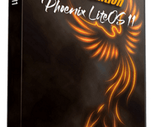 Windows 11 Pro 22H2 Build 22621.900 Phoenix Liteos 11 Pro+ Christmas Spirit Edition (x64) En-US Pre-Activated