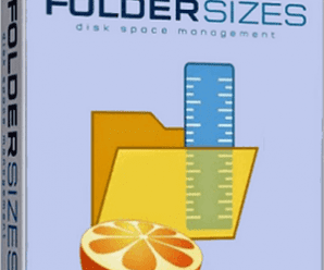 FolderSizes v9.5.421 Enterprise Edition Portable