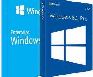 Windows 8.1 Pro / Enterprise Build 9600 (x64) Multilingual Pre-Activated