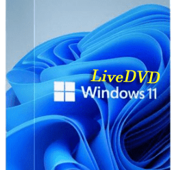 Live11 v1.0 (Windows 11 Live Disk) English